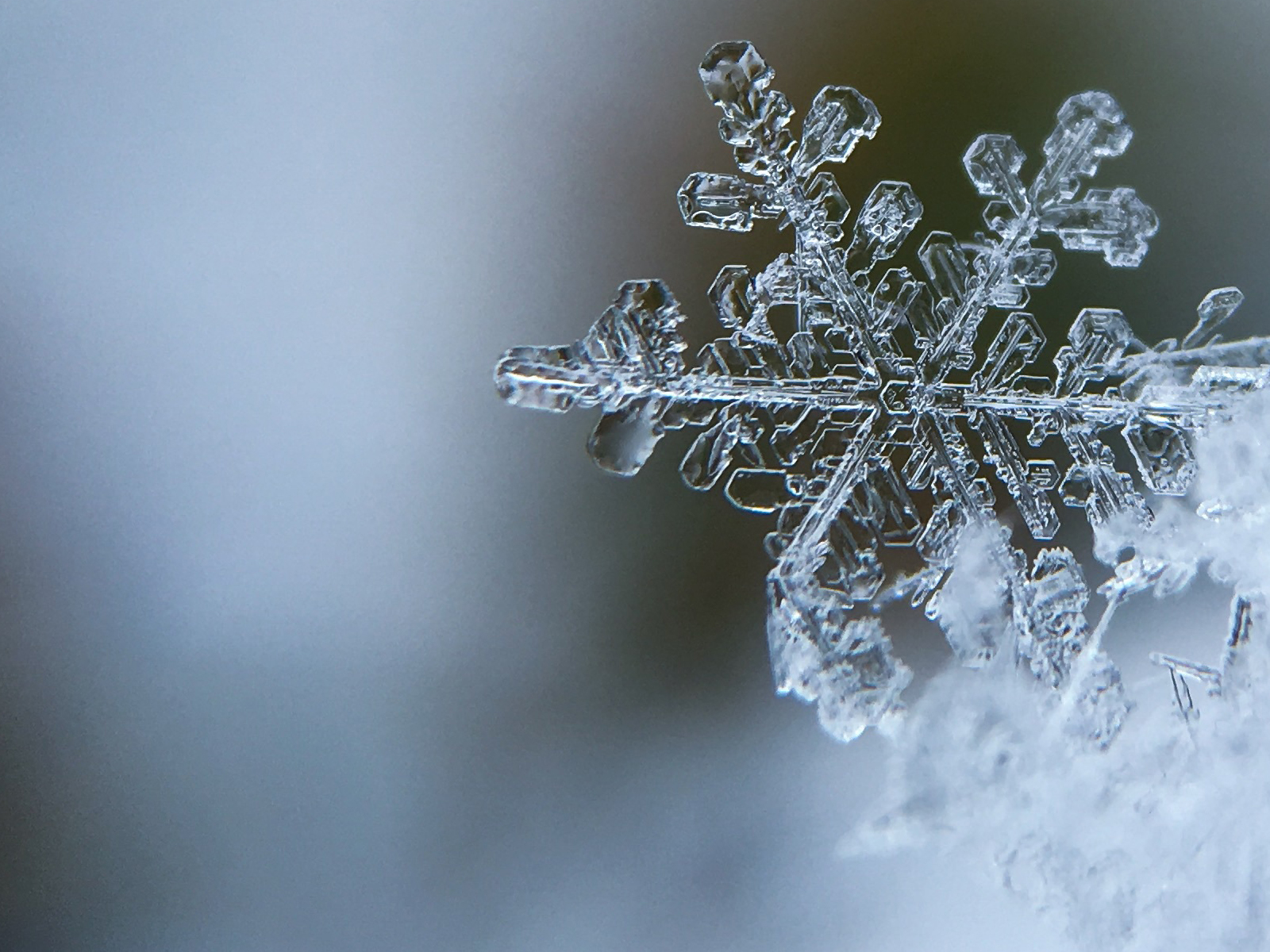 Svensk kylnorm faktablad 10 Svensk kylnorm faktablad 10