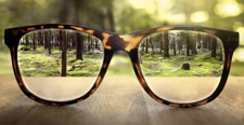 single vision